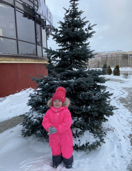 Зимний яркий комбинезон