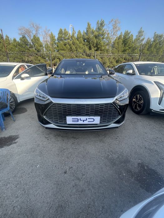 Song plus gybrid 2024