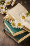 Meditatii Limba si Literatura Roamână