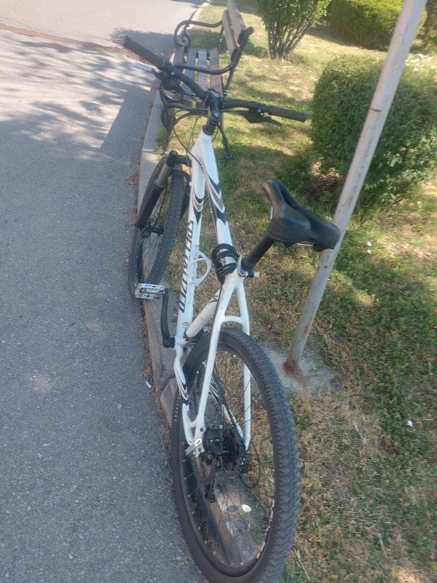 Specialized Rockhopper Comp 26