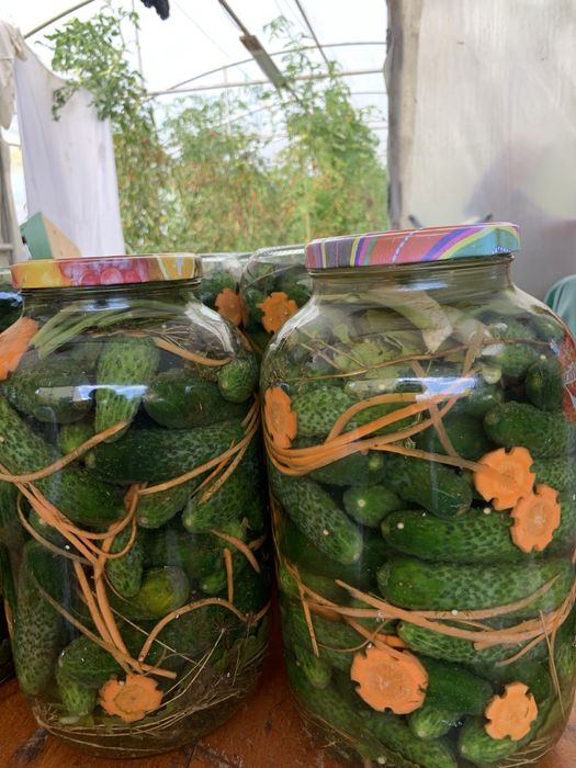 Muraturi facute din gradina proprie