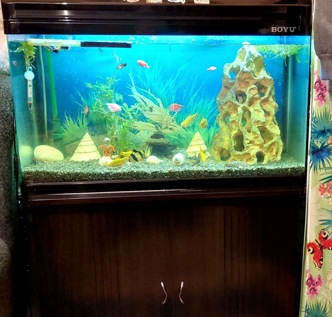 Продам аквариум 100 литровый