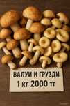 Свежесобранные. Валуи и грузди
1 кг 2000 тг.

8776