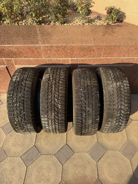 Зимние шины triangle 24 год