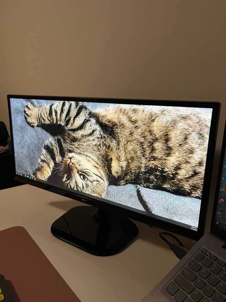 Monitor IPS UltraWide LG