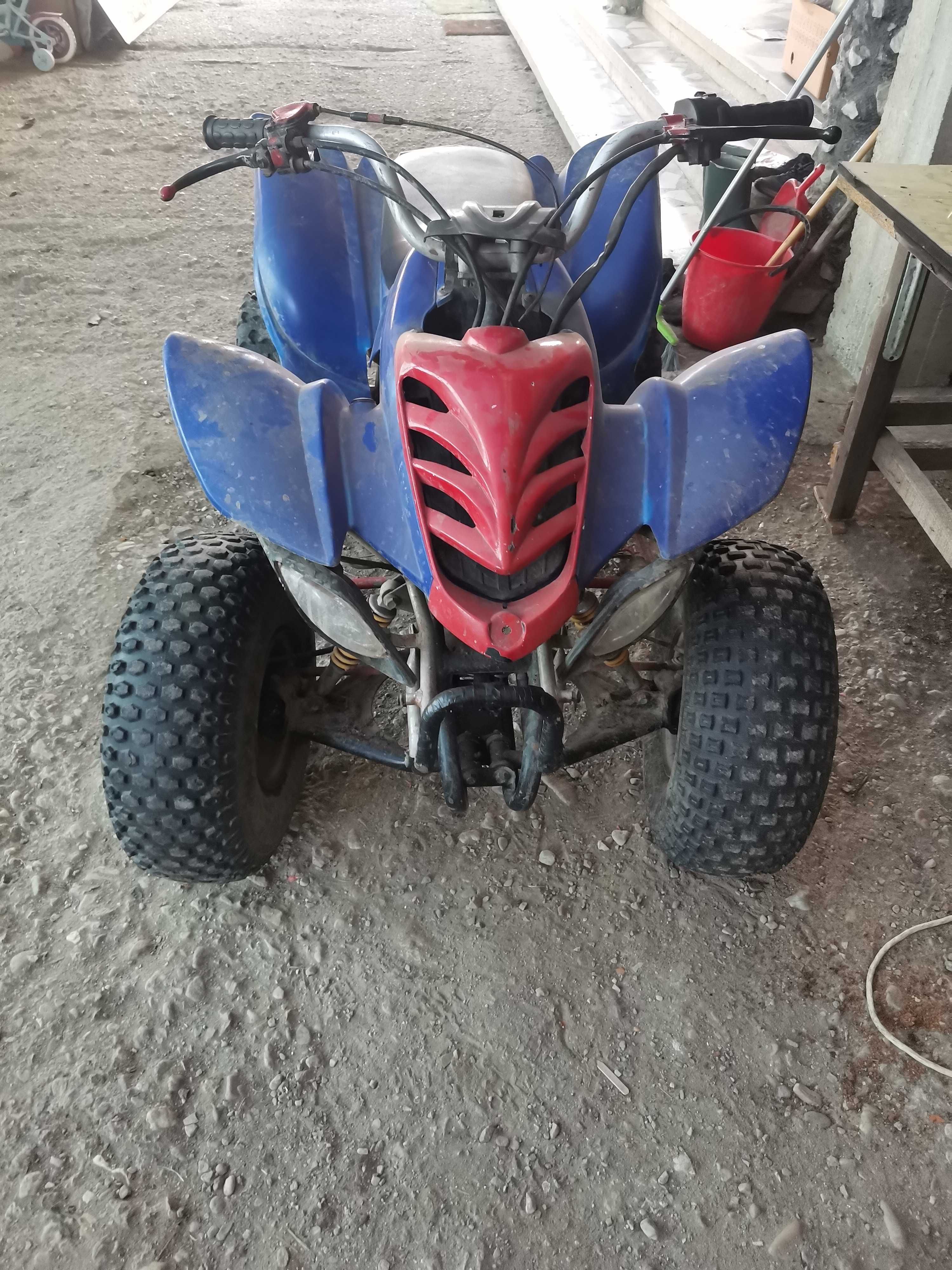 Atv 110cc pe cardan