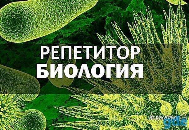 Репетитор по биологии