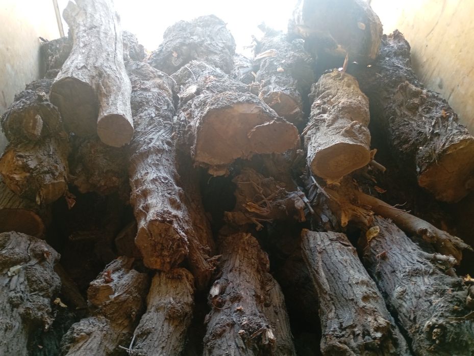 Курик утин сотилади