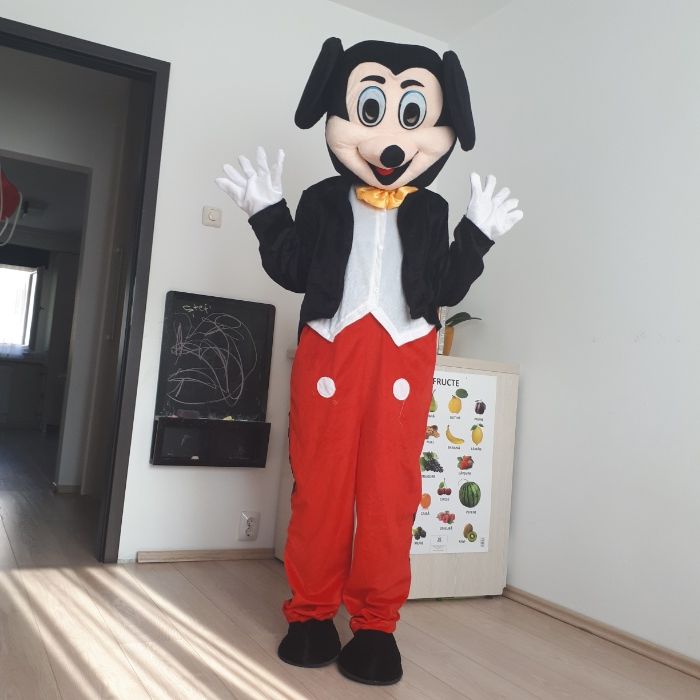 Mickey & Minnie mouse NOI costume mascote