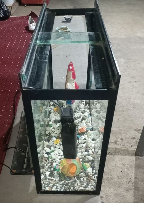 Akvarium akvarium
