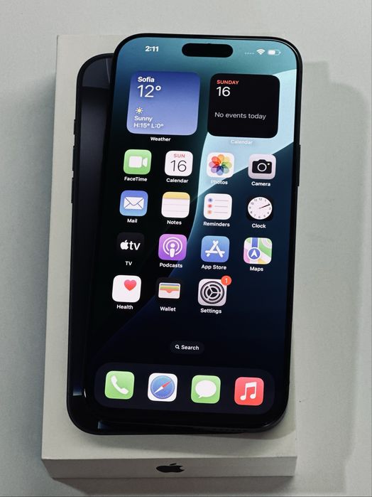 iPhone 16 ProMax Black 100% battery