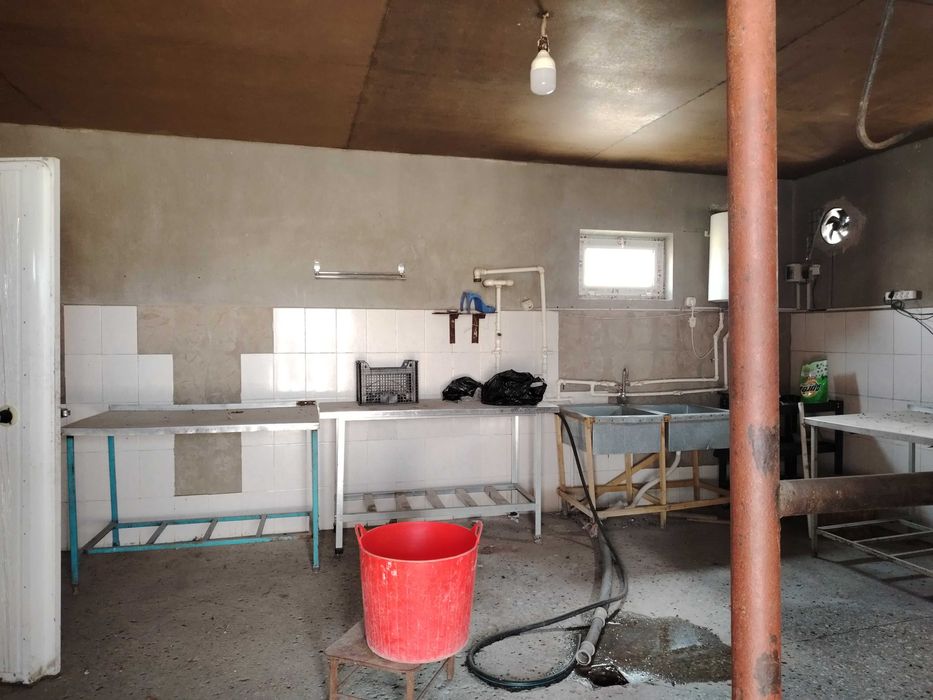 SROCHNO 1.61 gektar tayyor ferma(quyon,mol,qoy) sotiladi