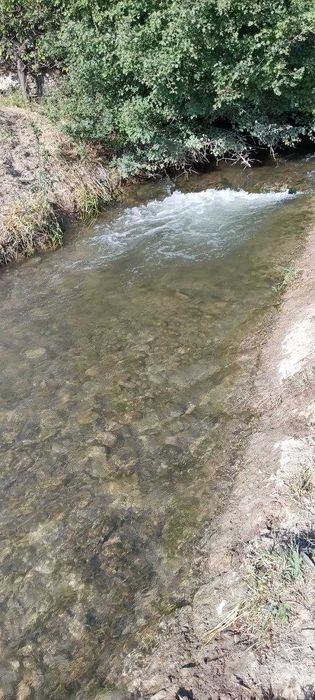 Хозяйство рыбное в Бахмальском районе Джиззакской области