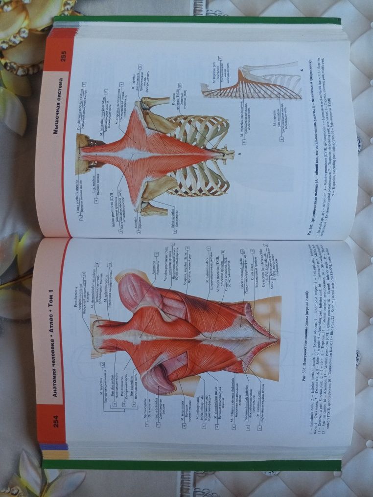 Atlas anatomiyasi sotiladi
