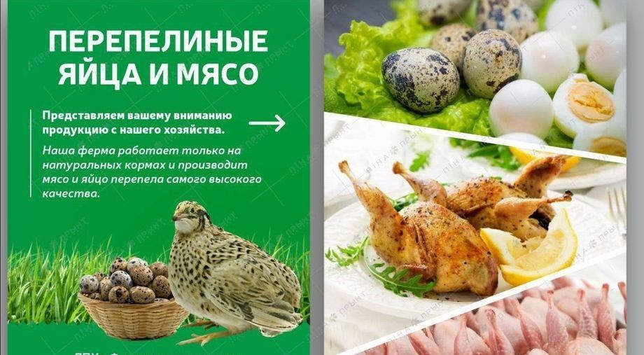 Мясо перепелов бөдене еті