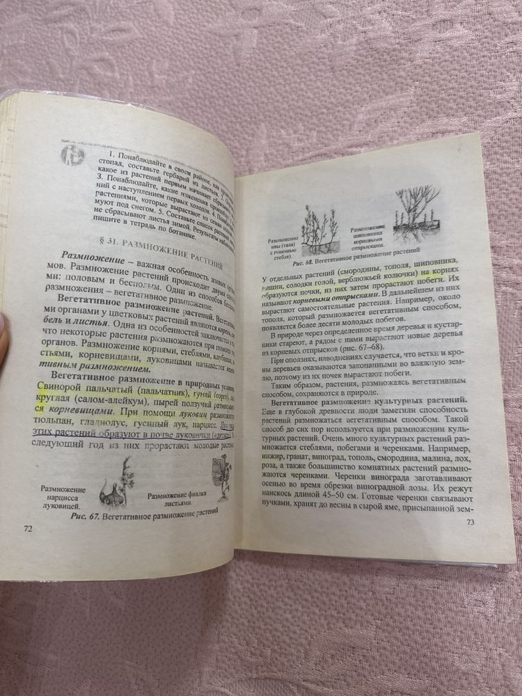 Биология 6 класс