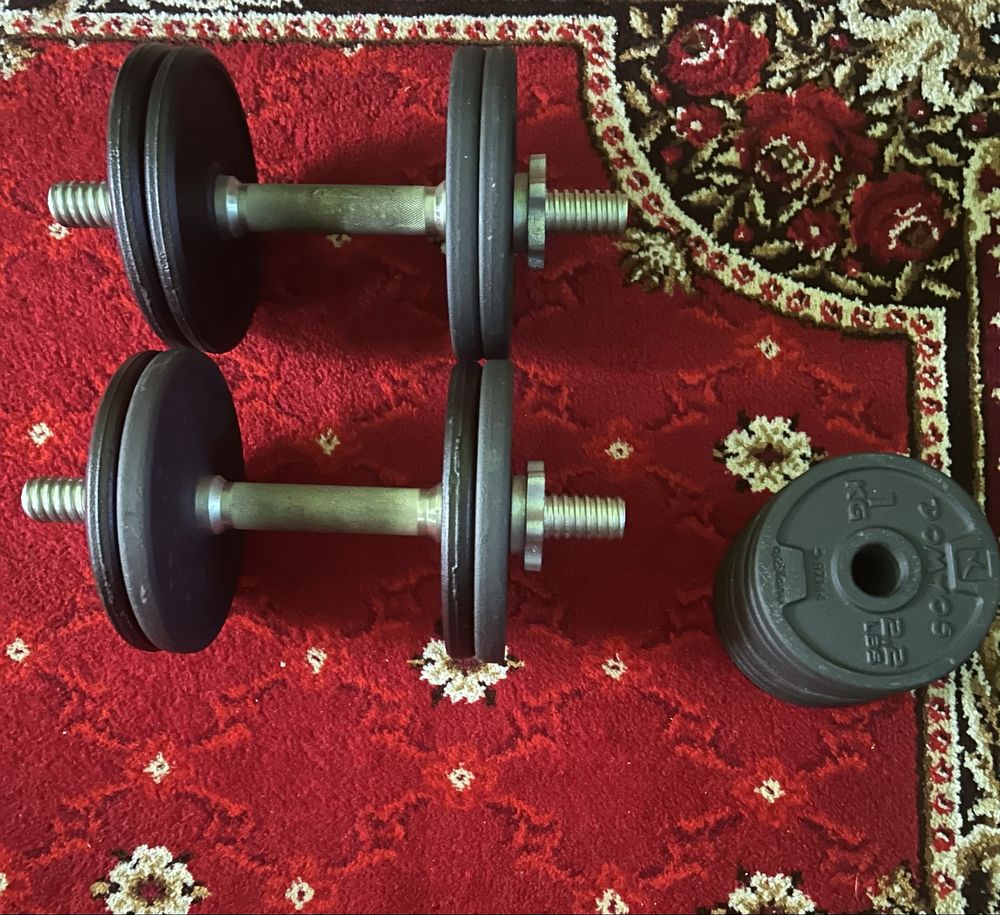 Gantere de 20 kg (10x2)