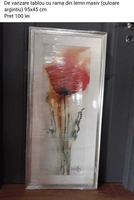 Mobila si electrocasnice