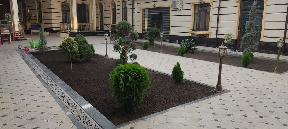 Gazon ekish xizmatlari mavjut