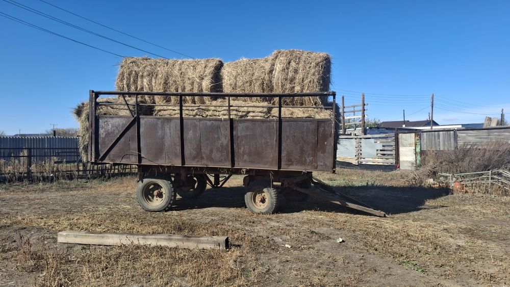 Продам Телега птс 4.