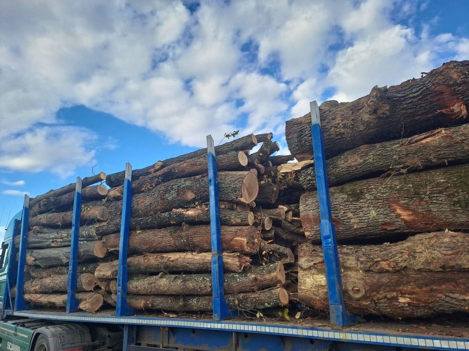 Vând lemn de foc fag+carpen+gorun