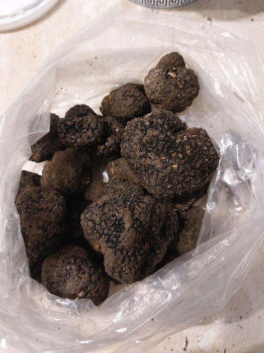 Trufe proaspete fresh parfumate savuroase sălbatice