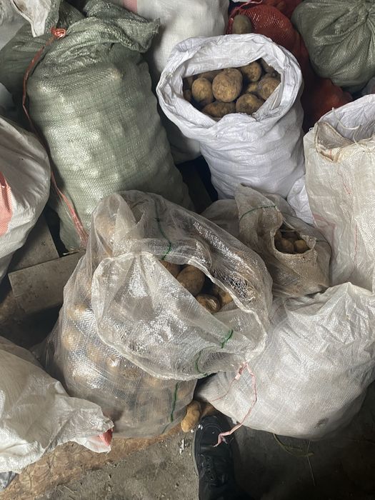 Картошка продам дешевле