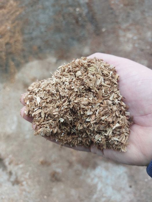 Стърготина дъбова от моторна резачка.