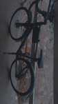 Bicicleta Cursiera RC 120 TRIBAN
