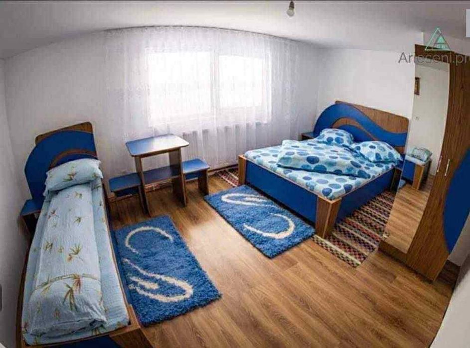 Cabana Daria Cosmina Arieseni