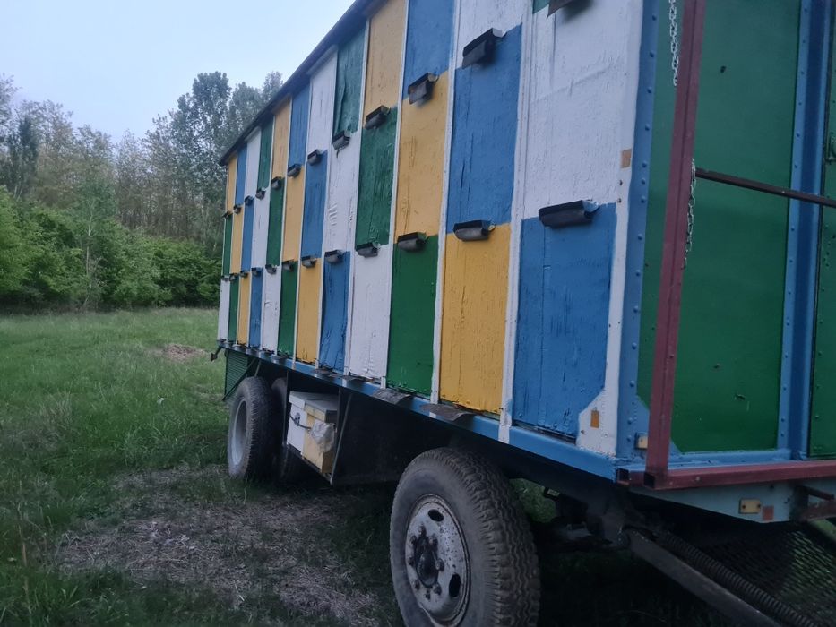 Vând pavilion apicol