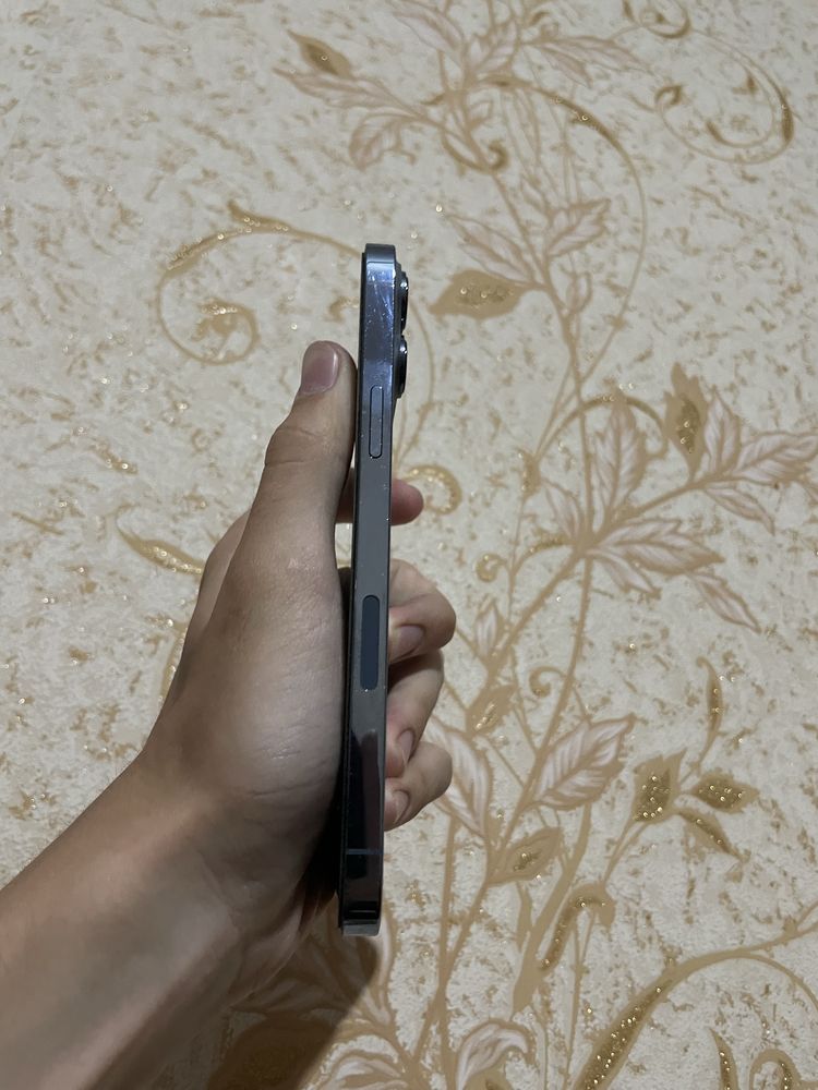 13 Pro Max 512 gb