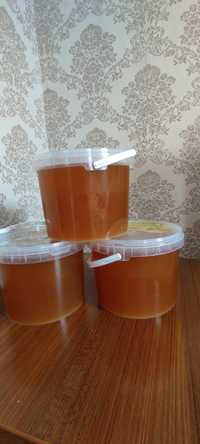Продам мёд натуральный горное разнотравье