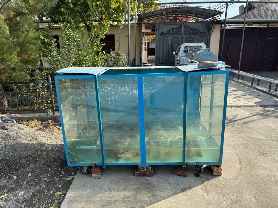 Аквариум для рыбы