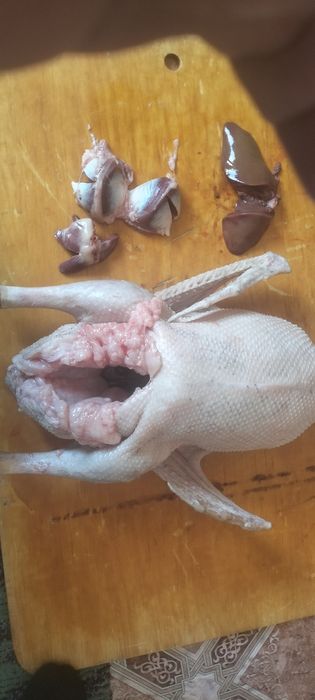 Семиз колда багылган каздар дын ети бар