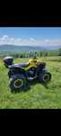 Can am 800 renegade 4x4 2008