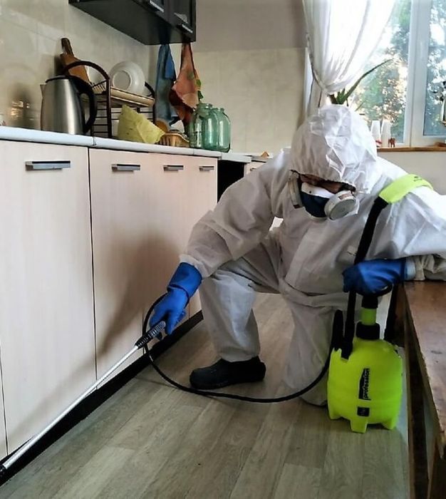 Дезинфекция дизенфекция дезинфекция | Гарантия 1 год