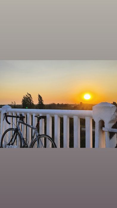 Specialized Allez шоссейный велосипед