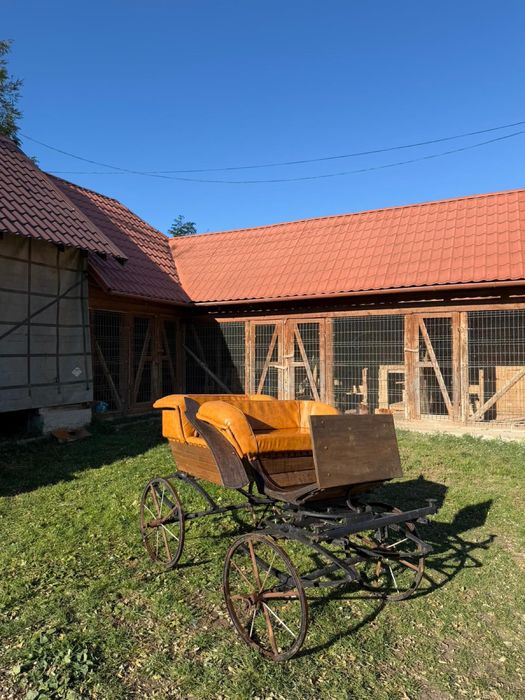 Trasura pentru un cal sau ponei