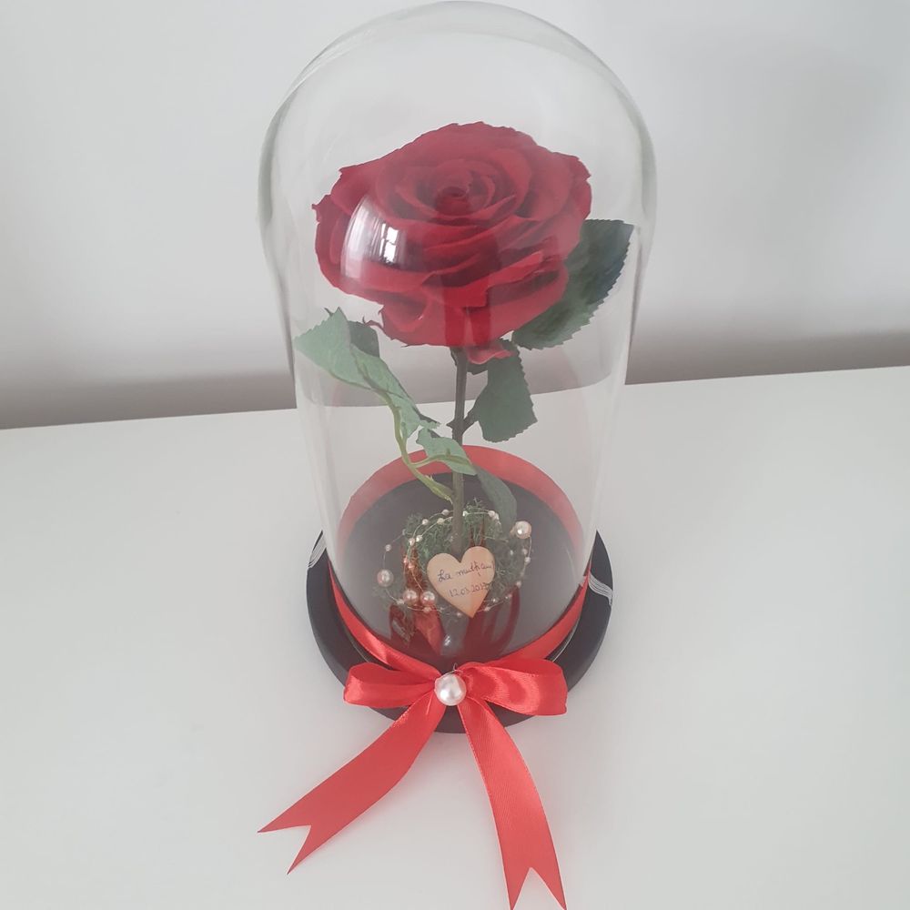 Trandafir criogenat conservat in cupola de sticla