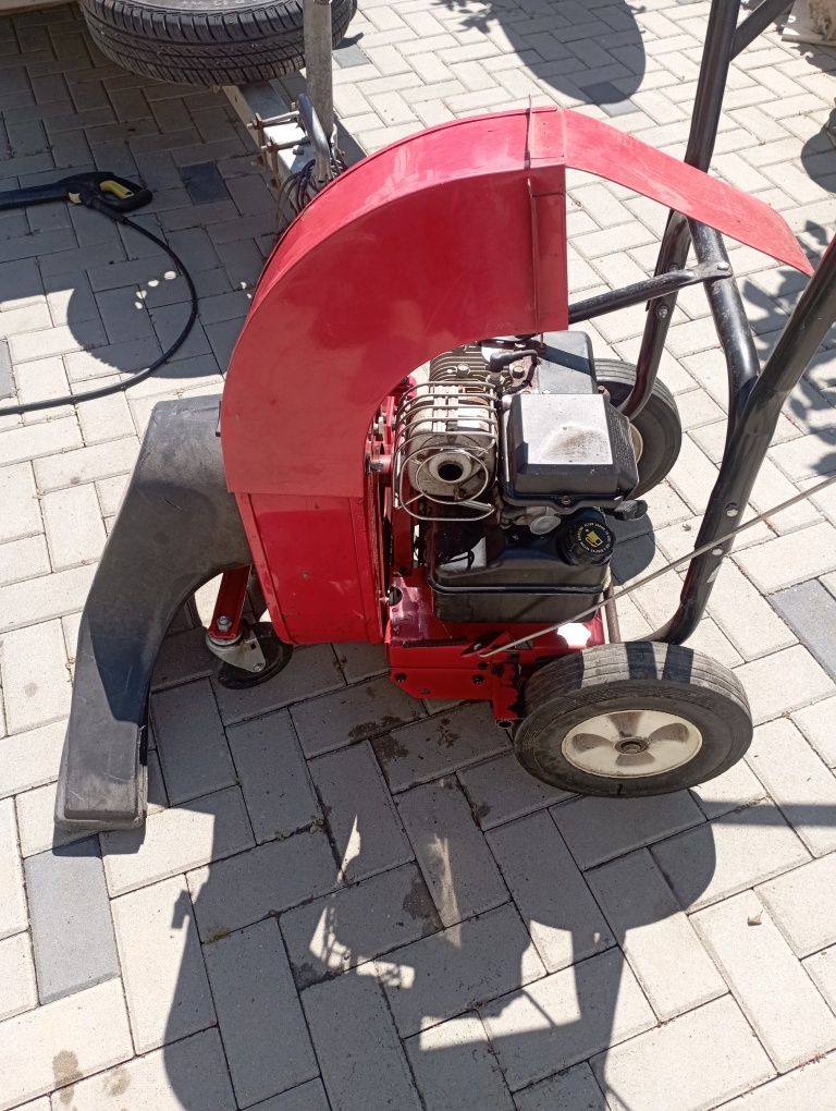 Aspirator de curte pe benzina
