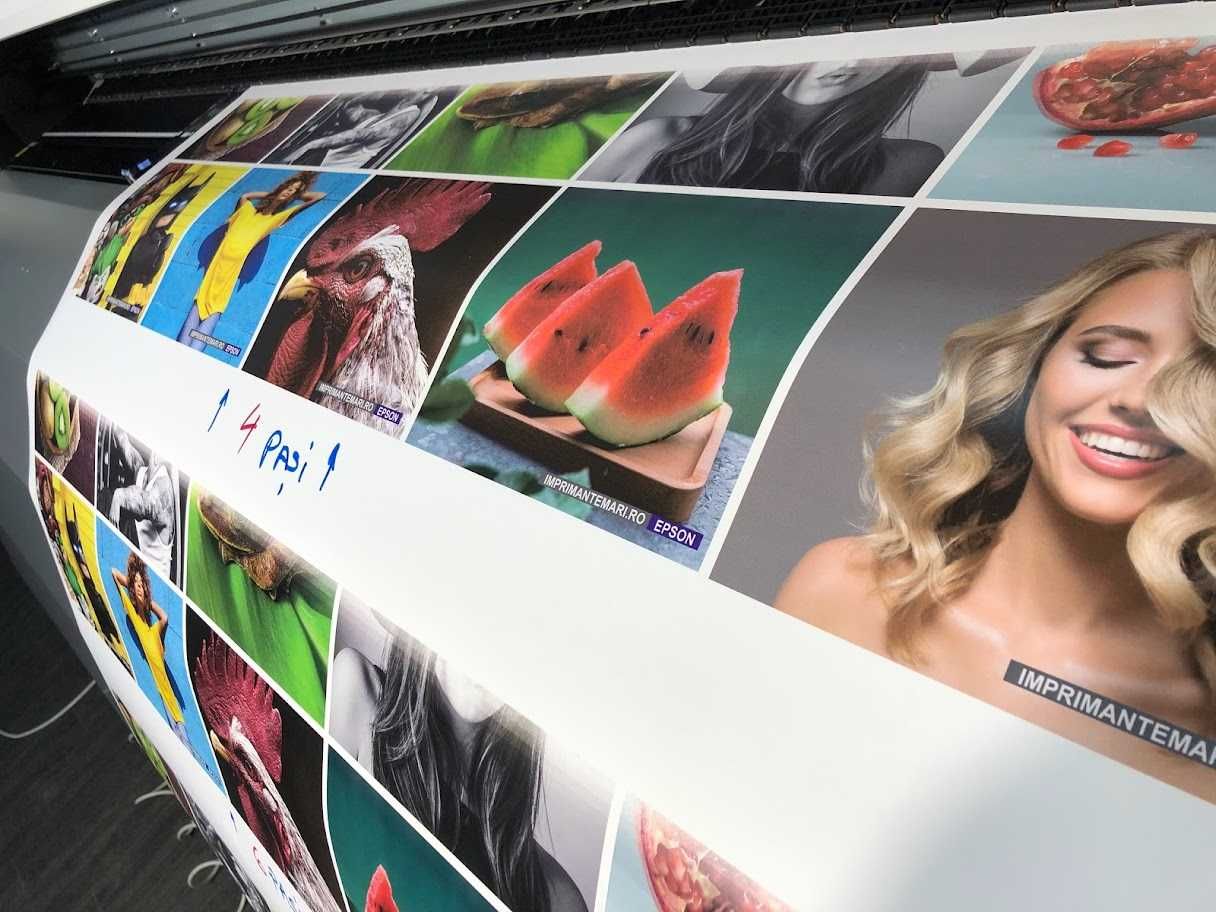 Imprimanta Plotter ECOSOLVENT EPSON s30600 (nu roland, mimaki, mutoh)