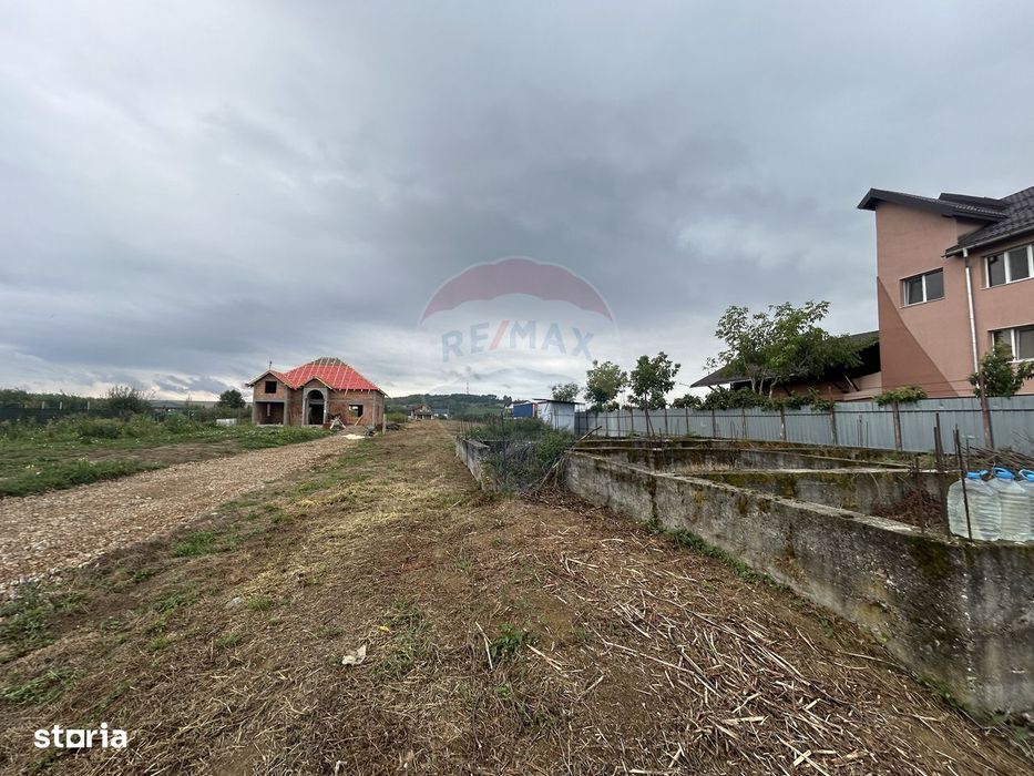 Teren 4,280mp Lapusel / Strada Primaverii