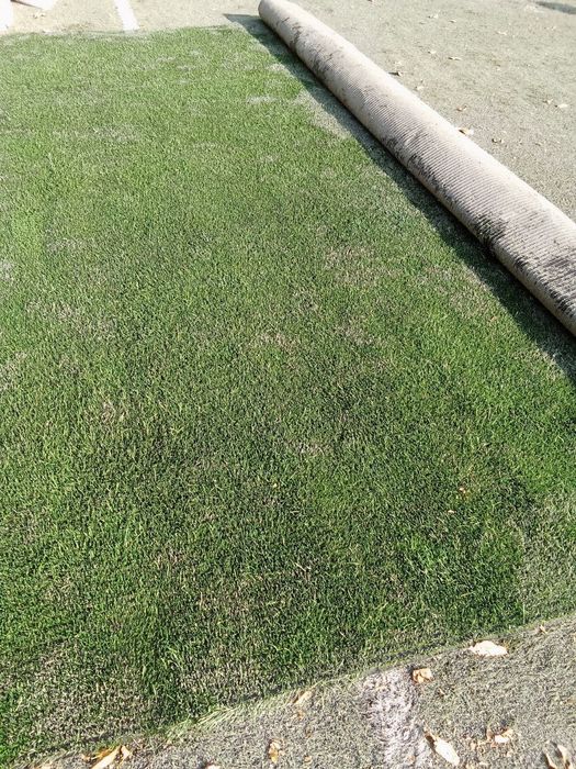 Gazon suniy xovli va bog'chalarga