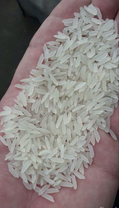 Рис ЛАЗЕР Хорем высший сорт