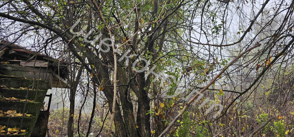 Продава се Парцел в с. Ресен, Област Велико Търново - 1000 кв.м за 11 €/кв.м - Снимка #2