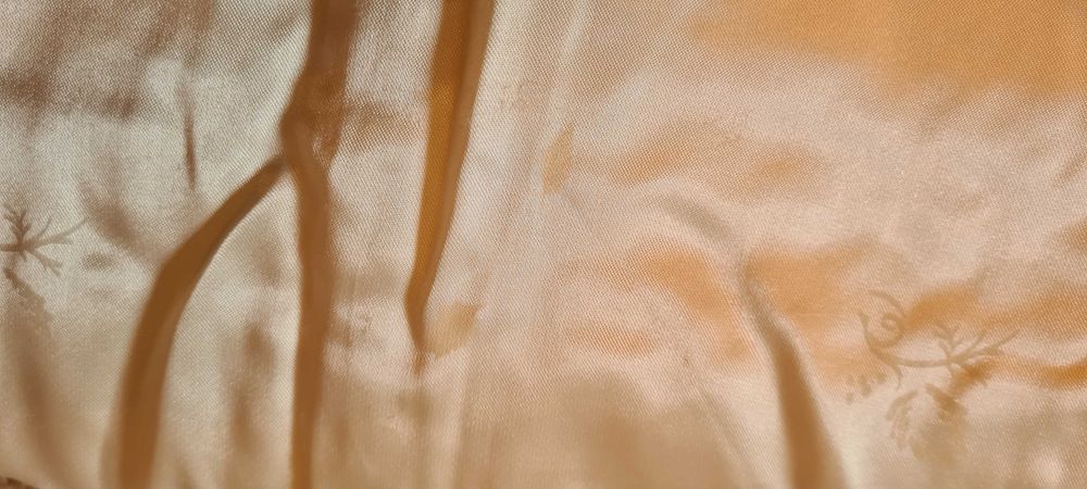 Guler Blana Vulpe Alba