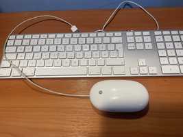 Tastatura si mouse Apple(fir)