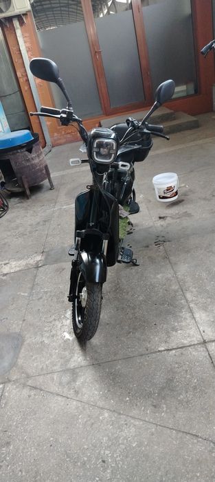 Drongo Skuter sotiladi