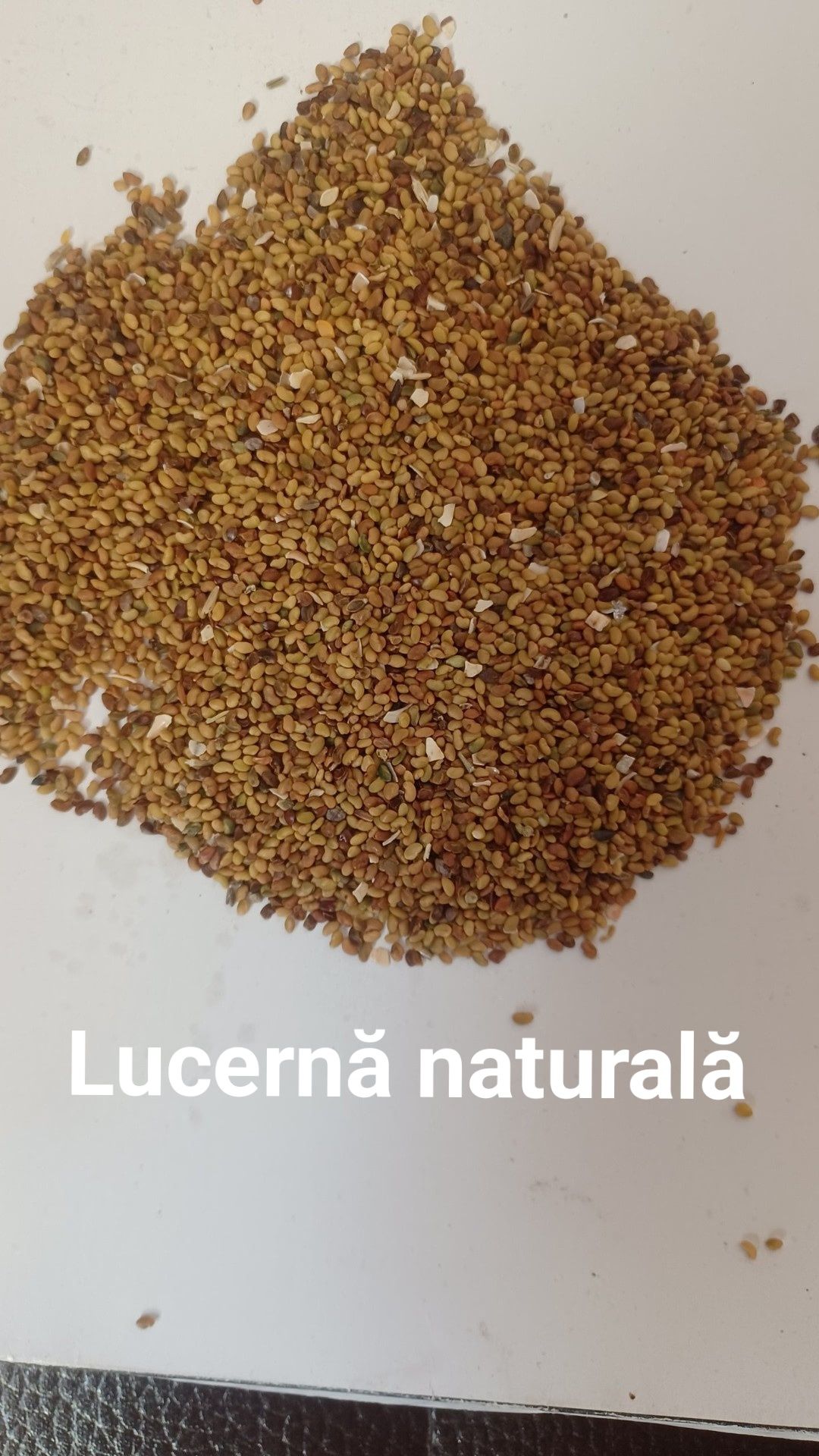 Lucernă tratată. Lucernă naturala și ghizdei